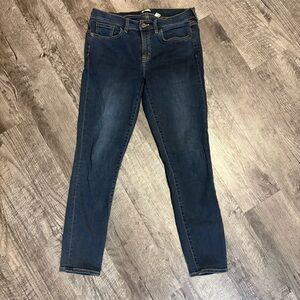 J. Crew Jeans Women’s Size 29 Blue Stretch Denim